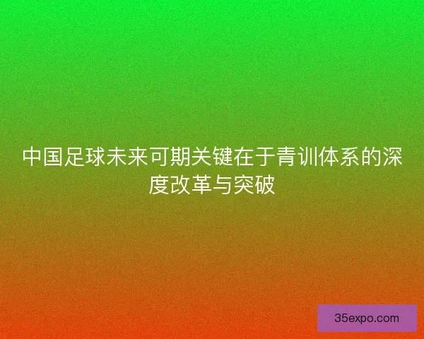 中国足球未来可期关键在于青训体系的深度改革与突破